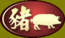 Year of the Pig